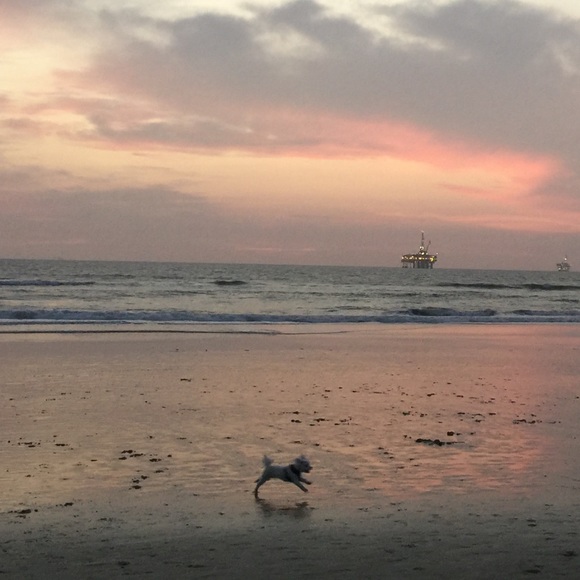 Meet your Posher - Picture 1 of 1